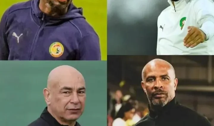 AFCON 2025: Indegenious coaches take centre stage as Africa’s finest battle for glory