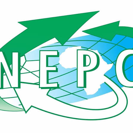 NEPC targets sustainable non-oil export growth in 2026