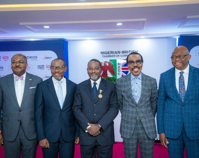 Rewane outlines projections for Nigeria in 2026