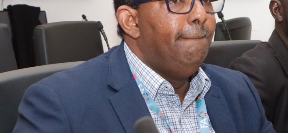 FAO commits to early planting to meet humanitarian response needs