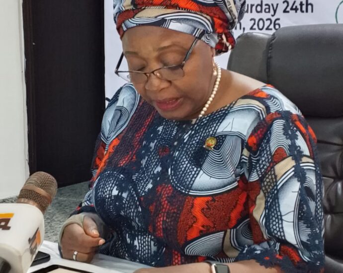 Society advocates mandatory geoscientific investigations before mining