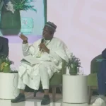 Why African stories must be told by Africans – NAN boss Why African stories must be told by Africans – NAN boss