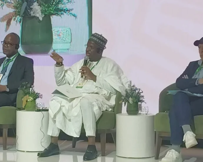 Why African stories must be told by Africans – NAN boss