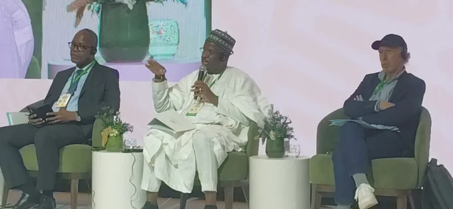 Malam Ali Mohammed Ali, Managing Director of News Agency of Nigeria (NAN) (Middle) during the panel session Discussion