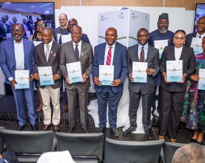 NESG advocates deeper reforms for sustainable growth path