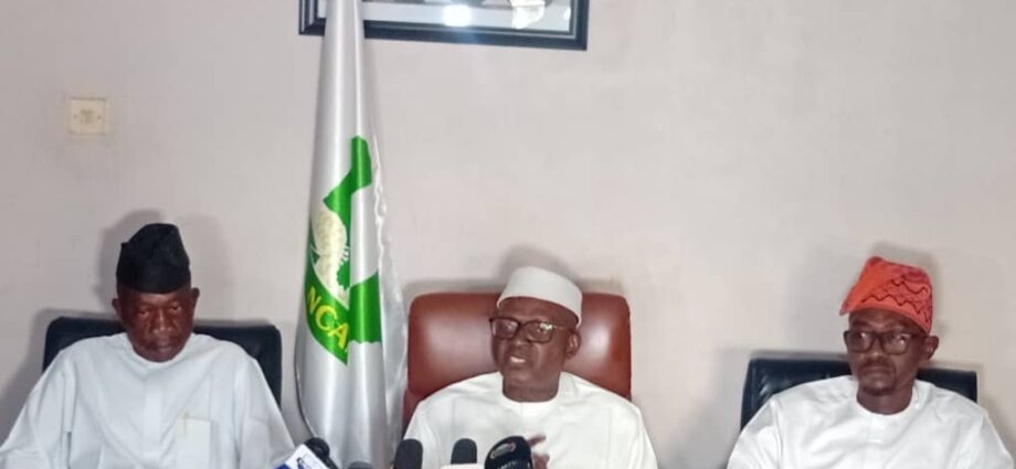 Cashew Industry can generate bn annually- Association