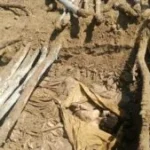 Troops discover terrorists’ mass grave in Borno