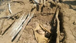 Troops discover terrorists’ mass grave in Borno