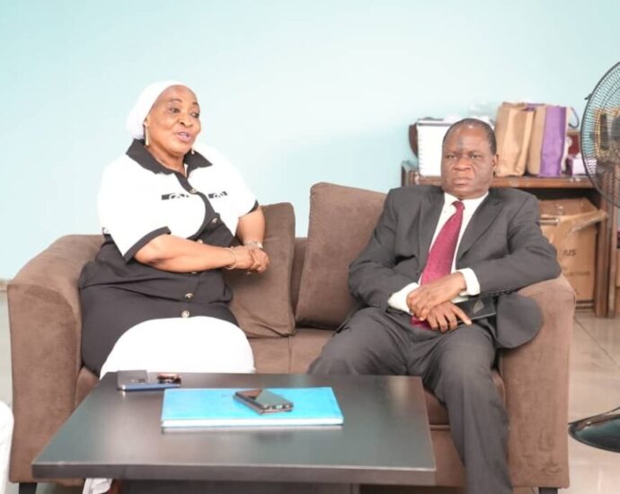 Isemede identifies agriculture, solid minerals as trn growth drivers