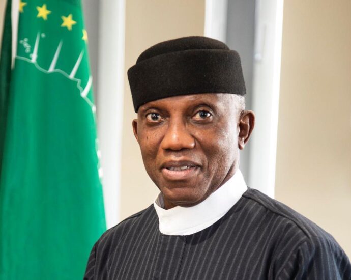 AU commissioner calls for permanent ceasefire in Sudan, DR Congo