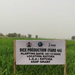 FG, Devt. partners grant boost rice, cassava value chains in Niger