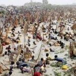 61st Argungu Festival: Over 50,000 anxious fishermen enter river ahead of Tinubu’s arrival