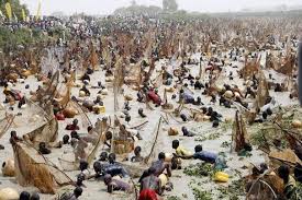 61st Argungu Festival: Over 50,000 anxious fishermen enter river ahead of Tinubu’s arrival