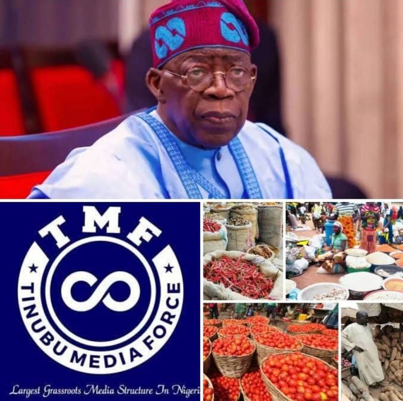 Group links fall in food prices to Tinubu’s reforms