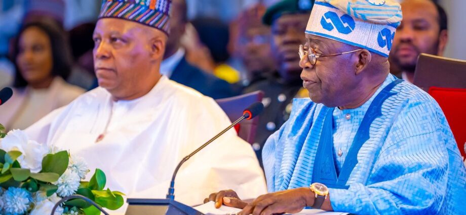 Tinubu vows crackdown on terrorists, tasks NEC on inclusive growth
