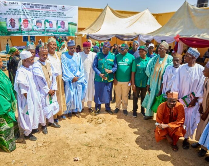 FG unveils intervention to combat tomato, sugarcane pests