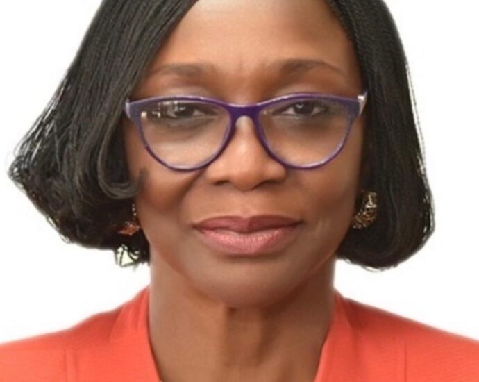 Overcrowding, urban growth accelerating infectious diseases in Nigeria — UNILAG VC