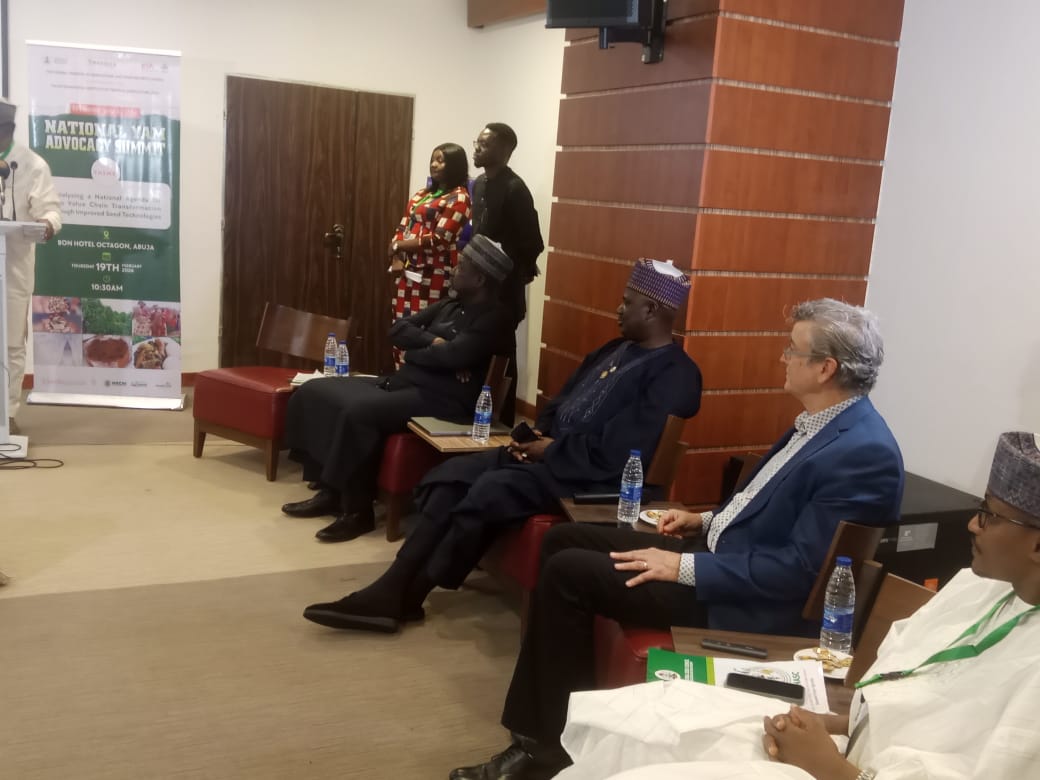 Nigeria produces 67% global yam output — FG