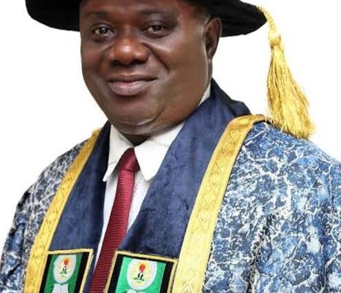 Nigeria targets .5bn carbon credit investment by 2030 – UNN VC