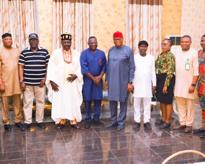 NPC Chairman seeks traditional rulers’ backing for birth registration, census