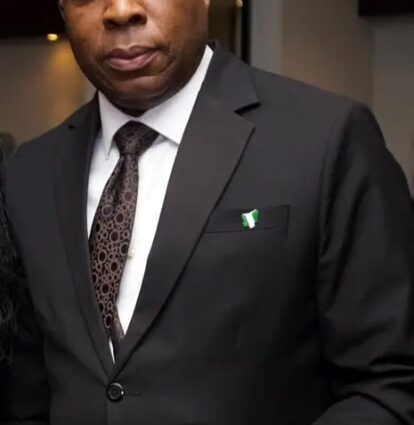 NiDO tasks African leaders on sustaining democratic transitions