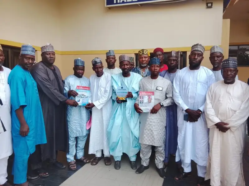 Climate change: FG’s intervention revives onion production, stabilises prices