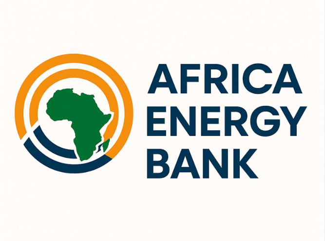 African Energy Bank to raise $15bn by 2030 – APPO