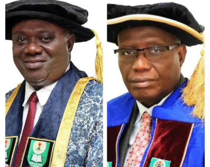 Council appoints NOUN VC as first Vice-President, names predecessor ambassador