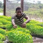 Agribusiness: FG advocates partnership for youth empowerment in agric sector