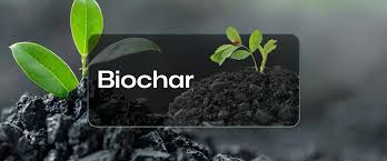 Embracing biochar innovation key to sustainable agriculture — Expert