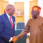 Tinubu, Elumelu discuss tax reforms, power, SMEs