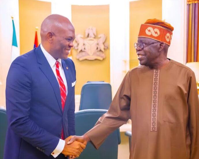 Tinubu, Elumelu discuss tax reforms, power, SMEs