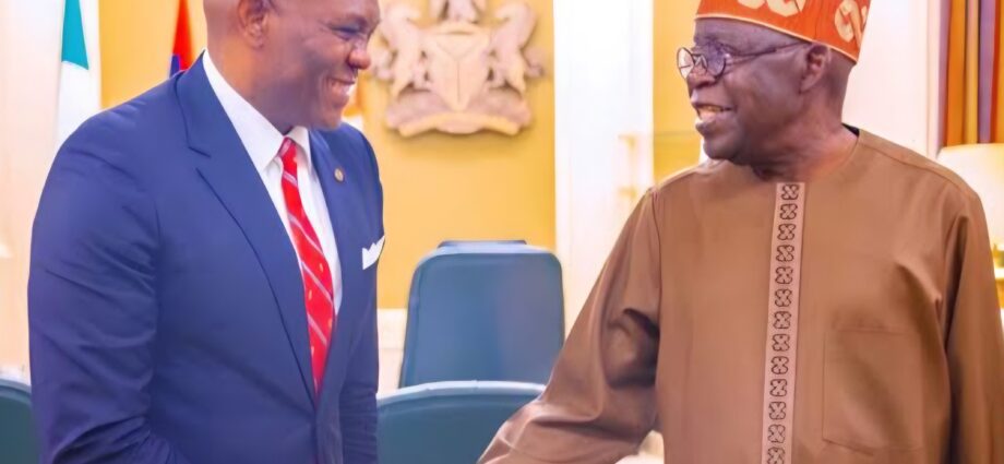 Tinubu, Elumelu discuss tax reforms, power, SMEs
