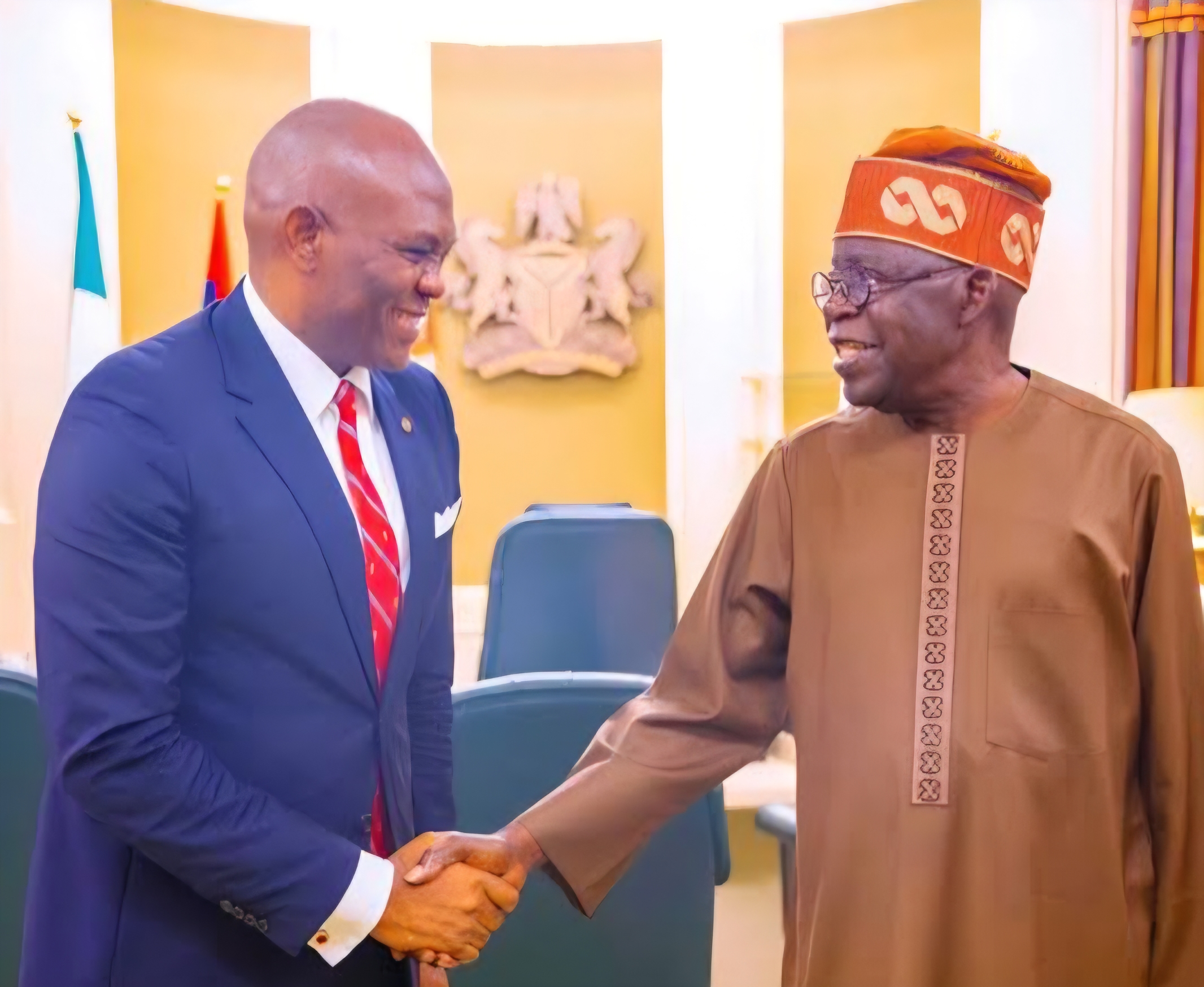 Tinubu, Elumelu discuss tax reforms, power, SMEs