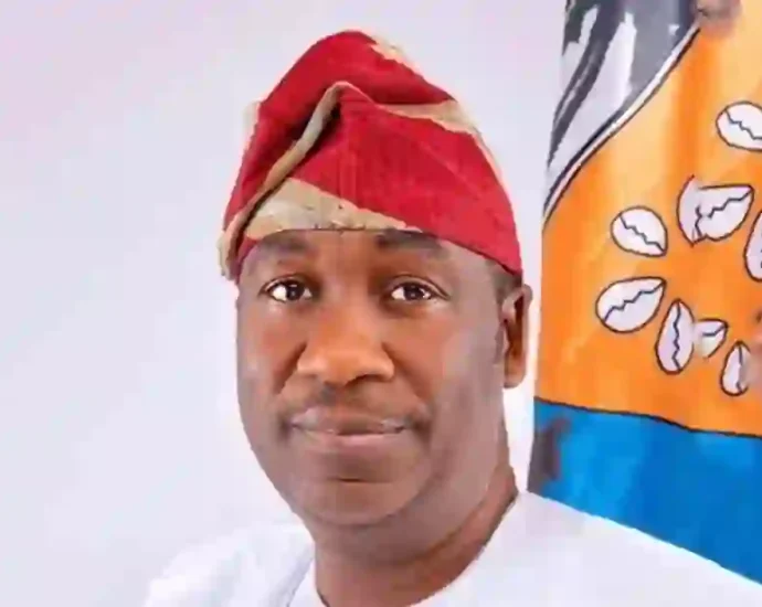 Dr Obafemi Hamzat, Lagos Deputy Governor
