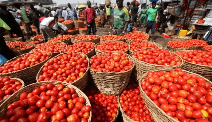 Basket of tomatoes in a local market