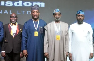 Kaduna emerges as new hub for high-grade minerals — Alake