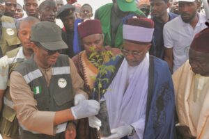 Climate Change: Agency urges Nigerians to engage in tree planting 
