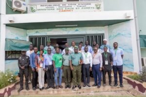Ivory Coast loses 200,000 hectares of forest annually – Official