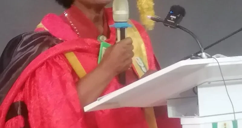 Prof. Rosemary Ogbodo-Adoga, a professor of Guidance and Councelling, Department of Educational Foundation, National Open University of Nigeria (NOUN), delivering her inaugural lecture
