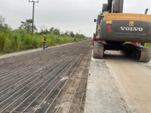 Quality of coastal road construction erased doubts at NASS — Rep