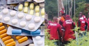 NDLEA seizes 2.5 tonnes illicit drugs, secures 79 convictions in Bauchi