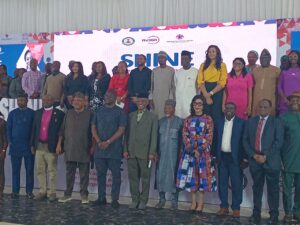 Study offers roadmap for scaling up hormonal IUD in Nigeria