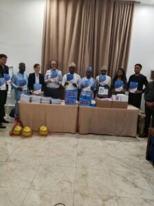 NEMSA, partners unveil guidelines for solar mini-grid integration