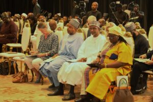Minister links de-risking tools to advancing Nigeria’s climate efforts