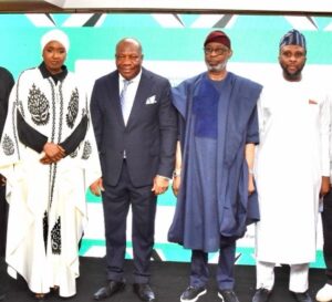 Mining grants will be awarded on merit, not connections – Alake