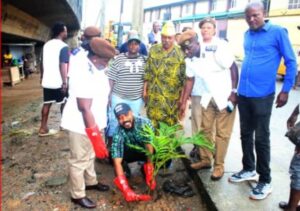 Kosofe LG chairman urges residents to embrace tree planting