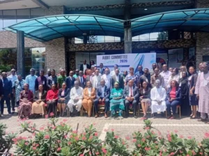 Responsible AI, strong governance key to quality audits — experts