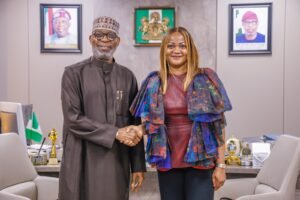 NIMC to track illegal operations in solid minerals sector-Alake
