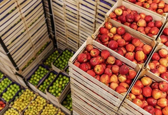 Egypt boosts agricultural exports to nearly 10m tonnes